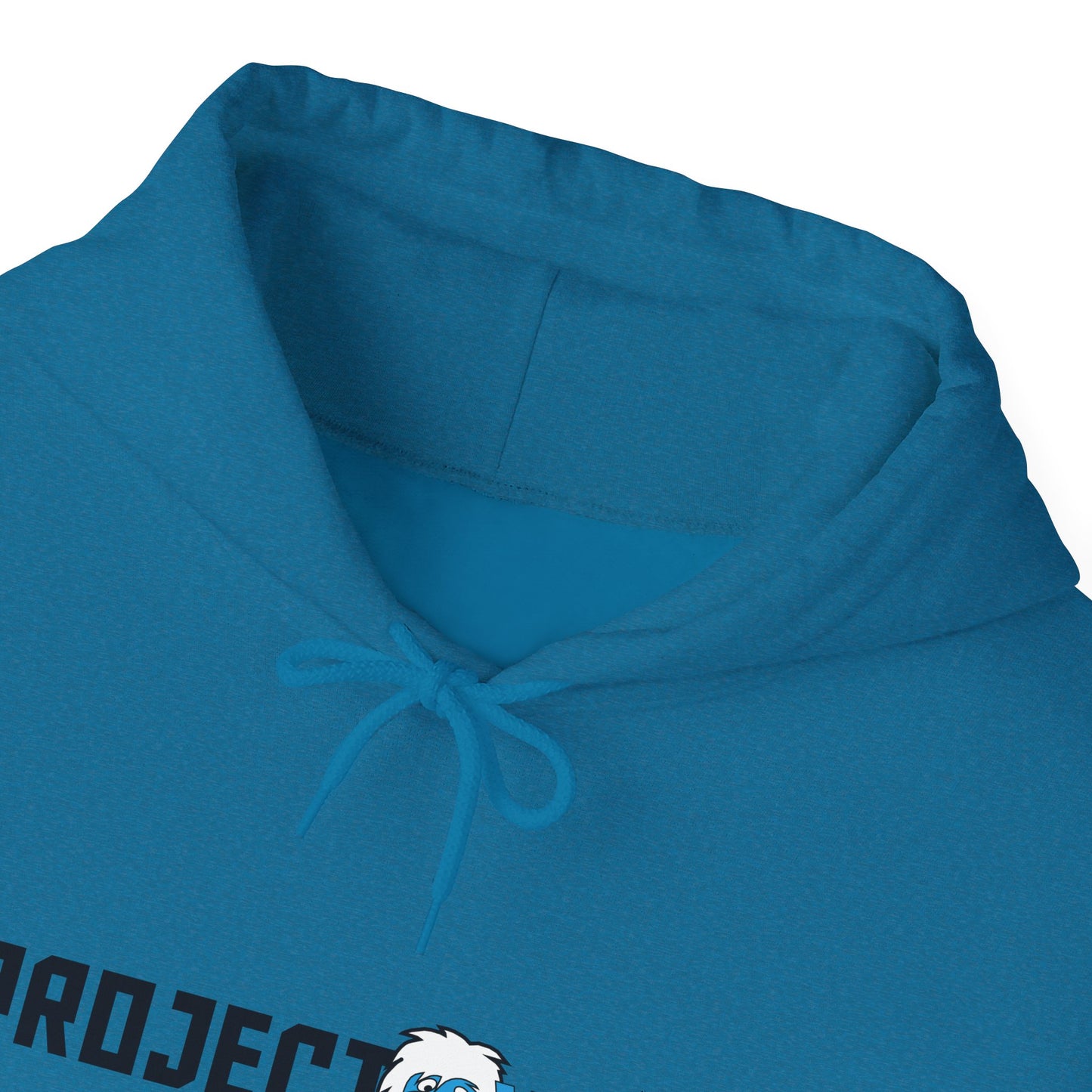 Project Yeti Logo Hooded Sweatshirt